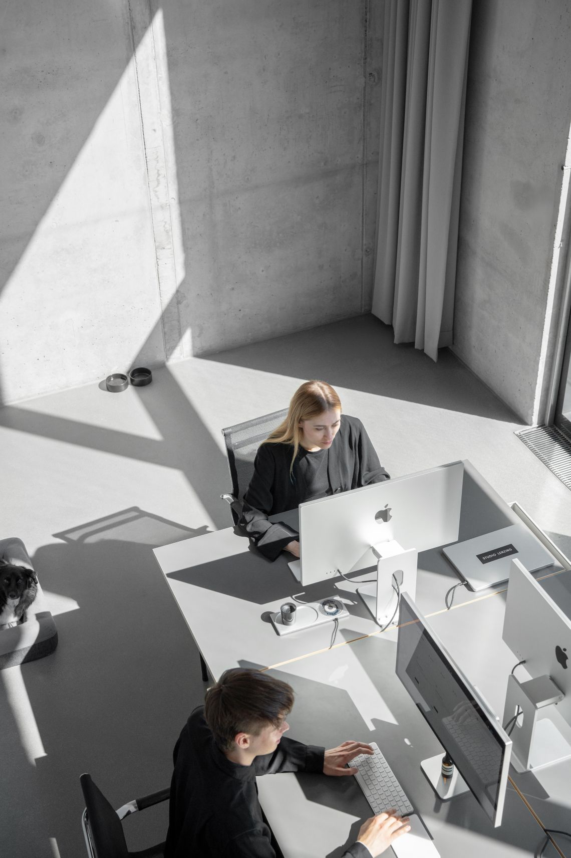 Modern business team working in a bright office